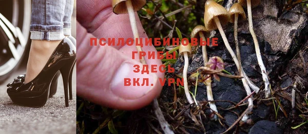 PSILOCYBIN Абаза