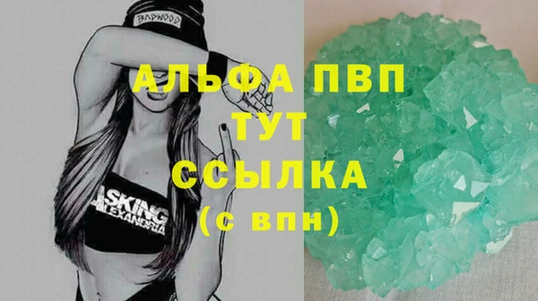 PSILOCYBIN Абаза