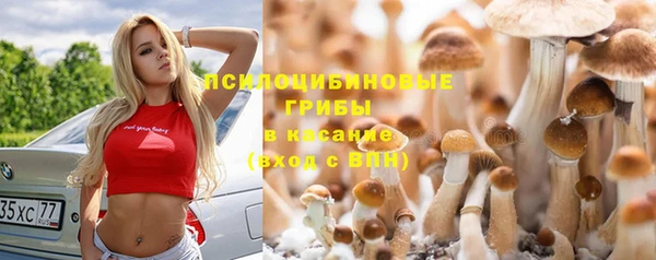 прущая мука Абинск