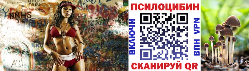 кракен   Нальчик  Псилоцибиновые грибы мицелий 