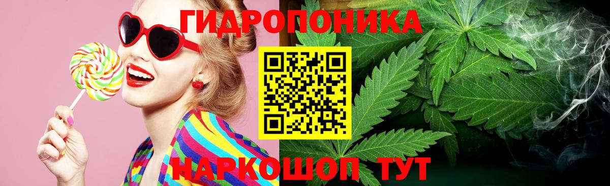 Бошки Шишки MAZAR Нальчик